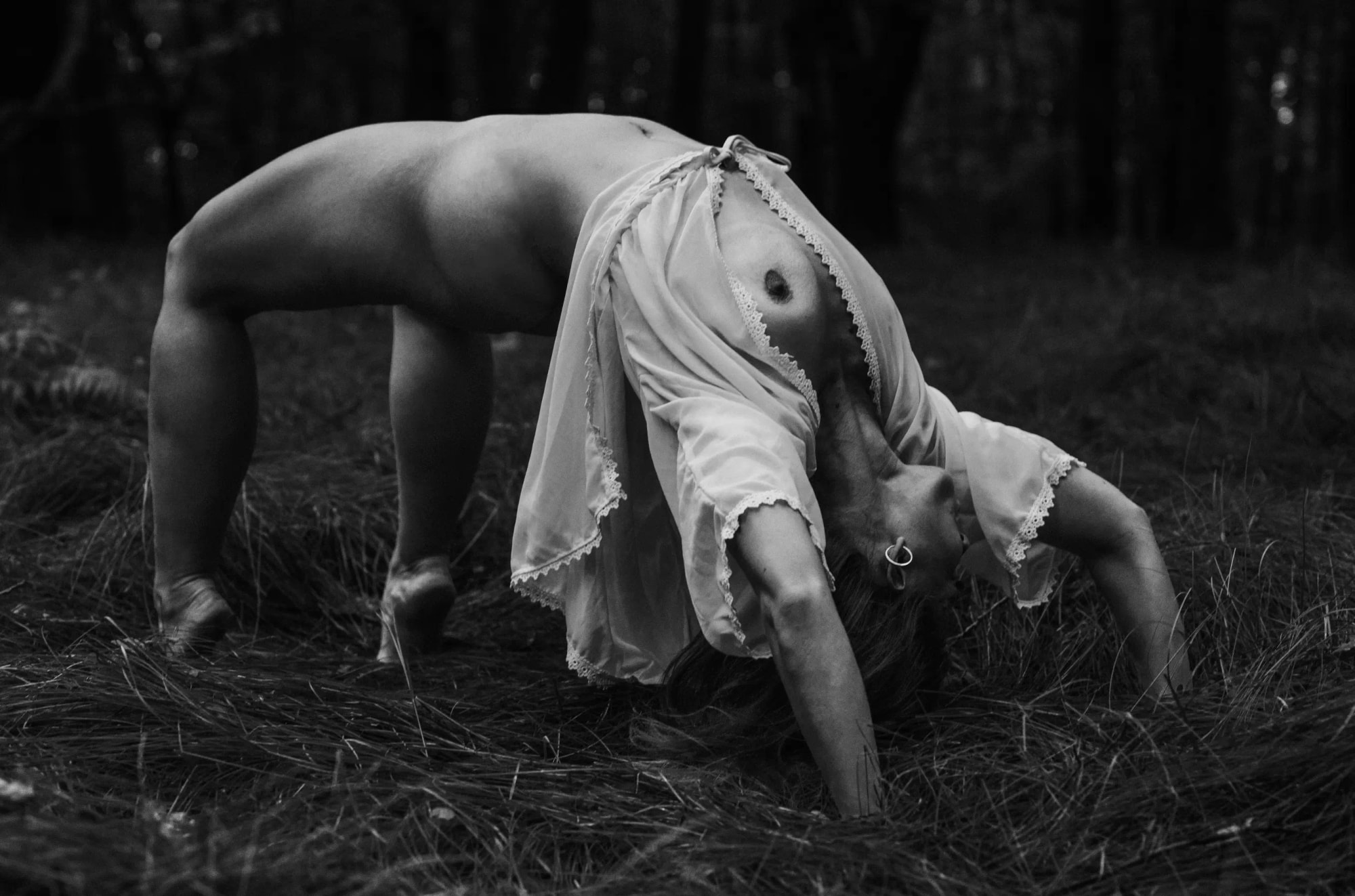 Oblouk napnutý mezi stromy — umělecká fotografie od Adama Běšiny (Nahota & Pralesa)